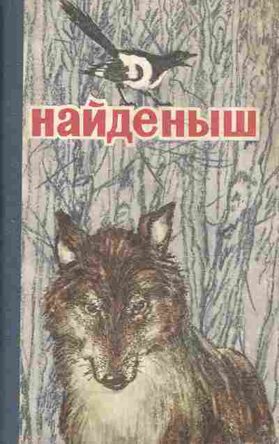 Книга Найдёныш, 11-5573, Баград.рф